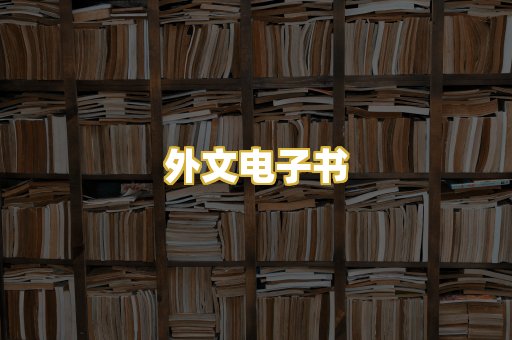 外文电子书